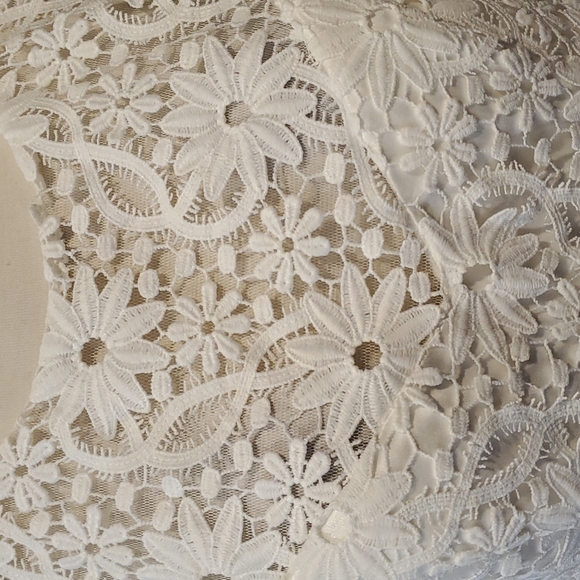 NEW Sue Wong Lace Open Back Dress Size 12 - Picture 4 of 16